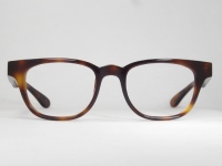 PLASTIC VINTAGE EYEGLASSES FRONT photo, under 350 kb