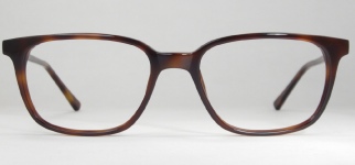 PLASTIC VINTAGE EYEGLASSES FRONT photo, under 350 kb