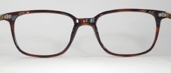 PLASTIC VINTAGE EYEGLASSES SIDE photo, under 350 kb