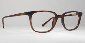 PLASTIC VINTAGE EYEGLASSES HINGE photo, under 350 kb